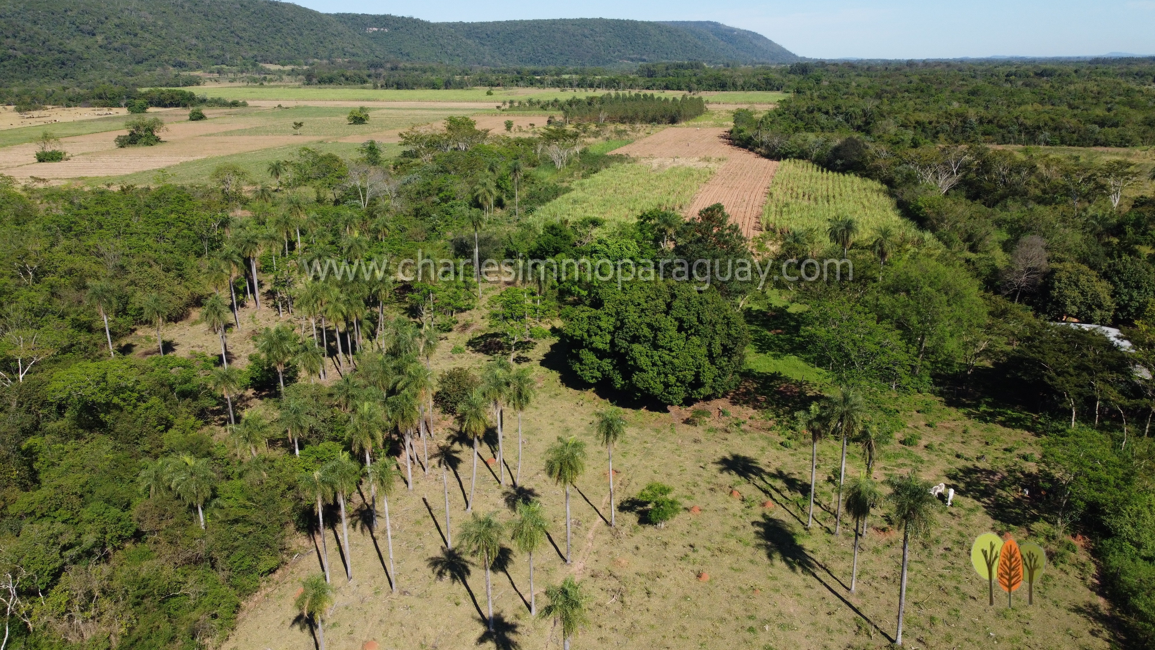 Terreno de 6 hectáreas en venta – La Colmena, Paraguay - imagen 9