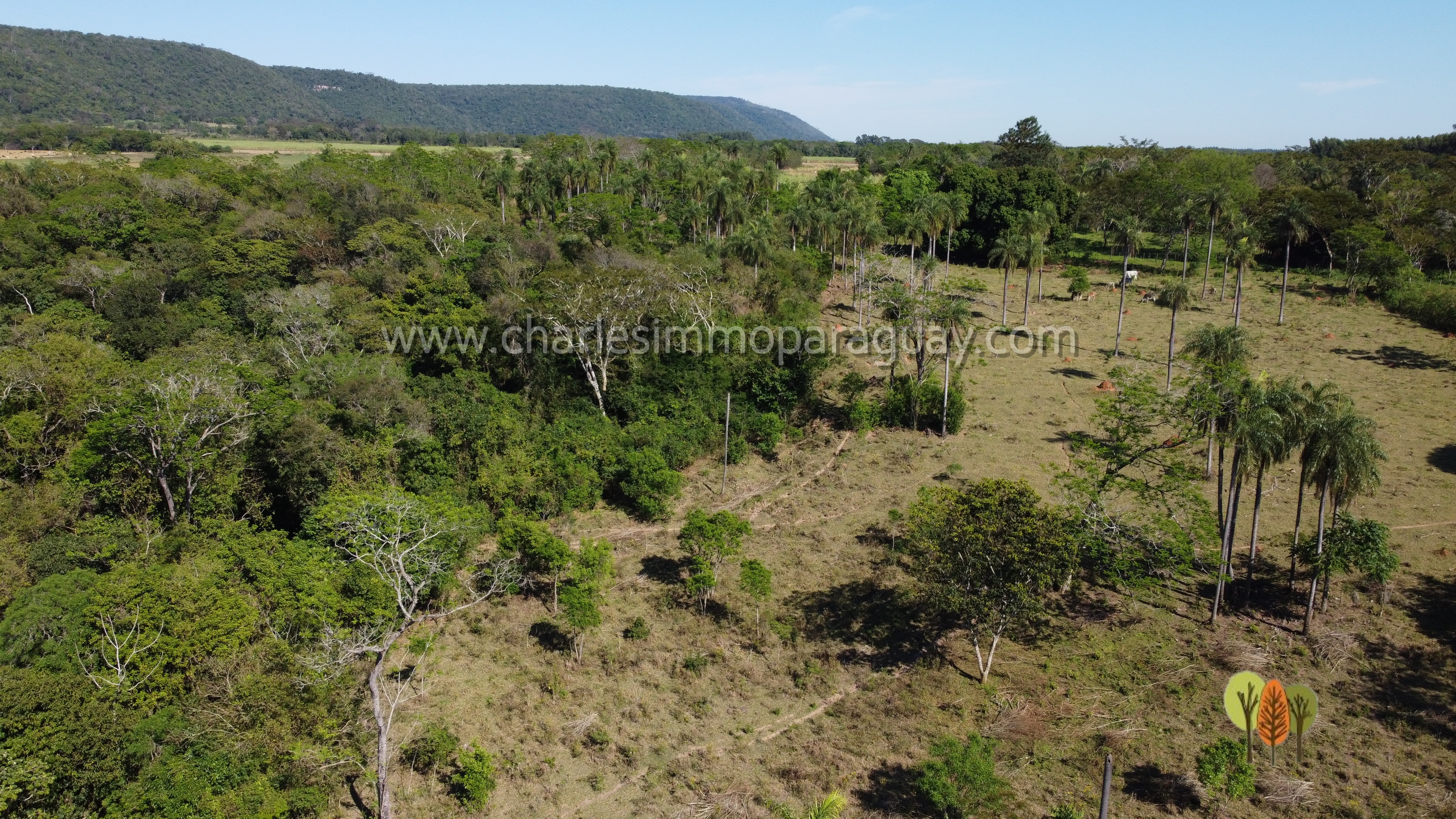 Terreno de 6 hectáreas en venta – La Colmena, Paraguay - imagen 10