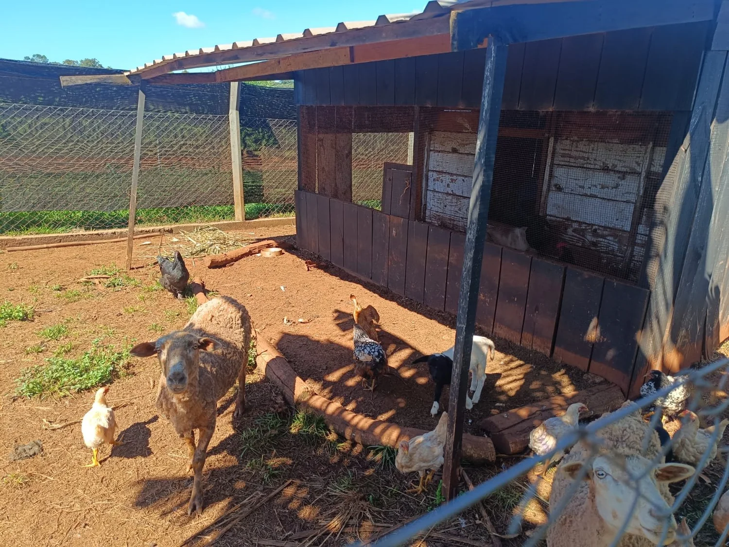 Hohenau: fantástica vivienda completa en una ubicación elevada, ideal para una familia con niños - 3