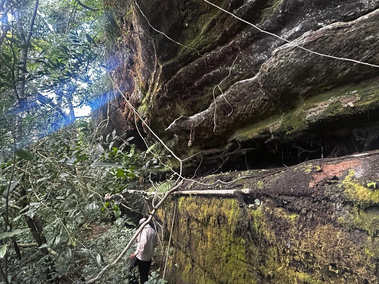 Paso Guembé: 15 ha – fruticultura, naturaleza y potencial turístico - 5