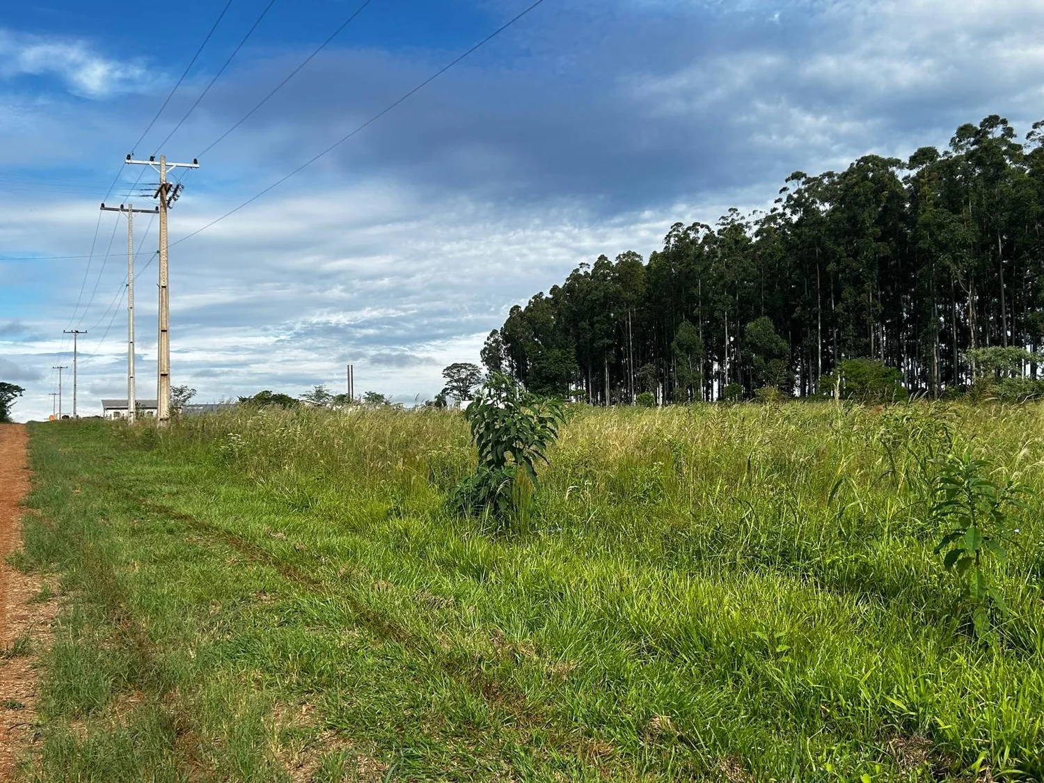 Terreno de 5.000 m² en venta en Hohenau – ubicación elevada con hermosas vistas y electricidad trifásica - 2