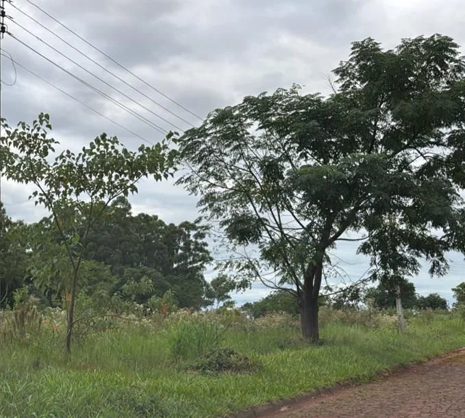 Obligado: 3.450 m² terreno de construcción en ubicación muy céntrica - 1