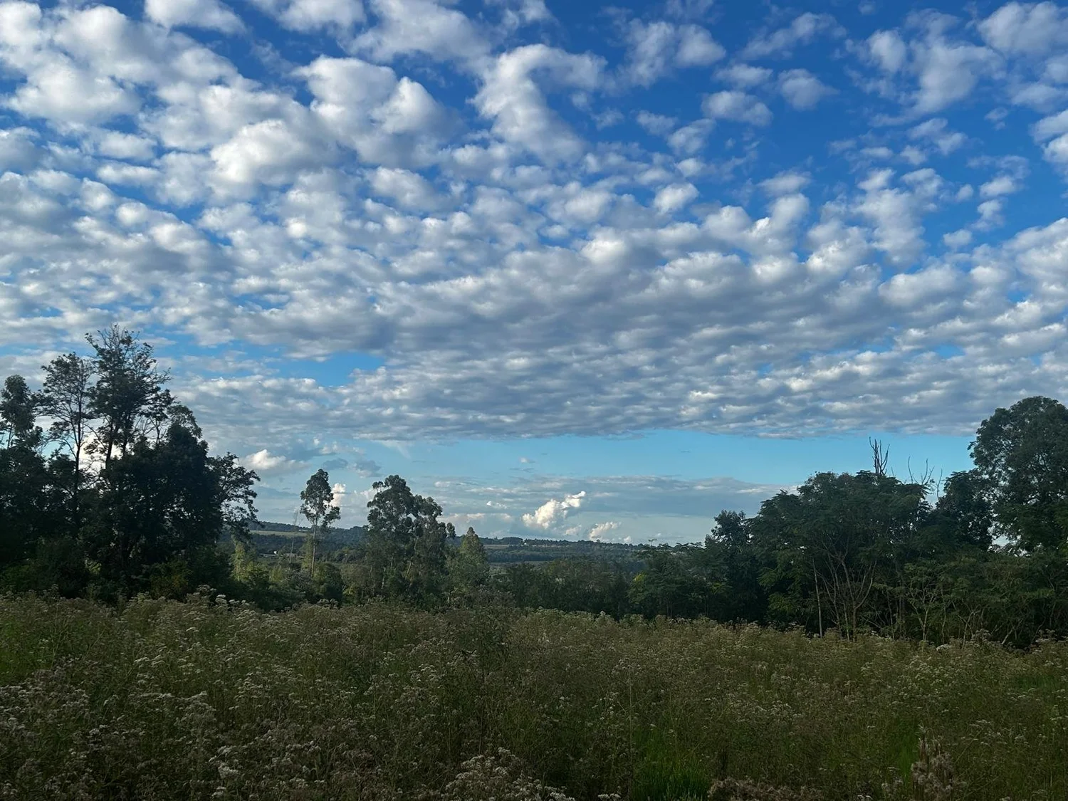 Obligado: 3.450 m² terreno de construcción en ubicación muy céntrica - 3