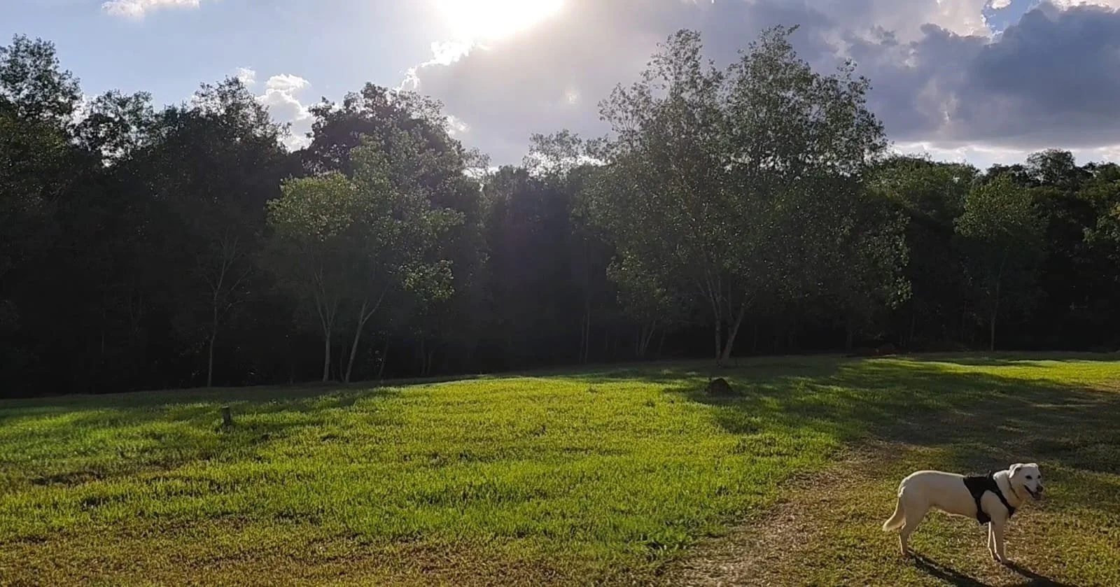 Hohenau / Trinidad: terreno tranquilo de 3.200 m² - imagen 4