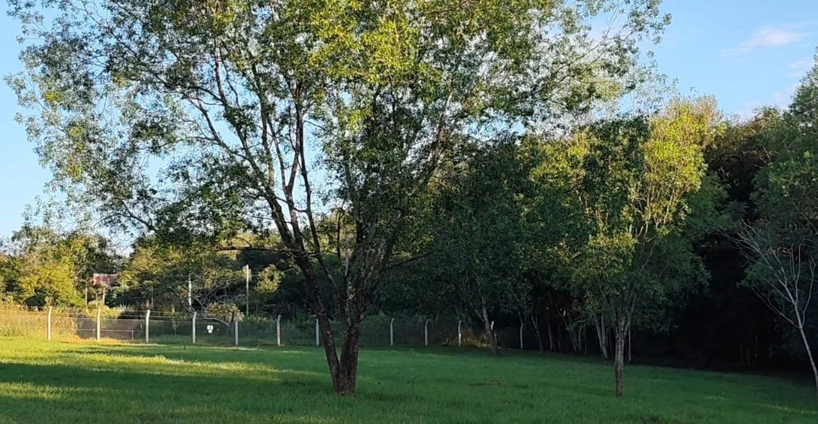 Hohenau / Trinidad: terreno tranquilo de 3.200 m² - imagen 5