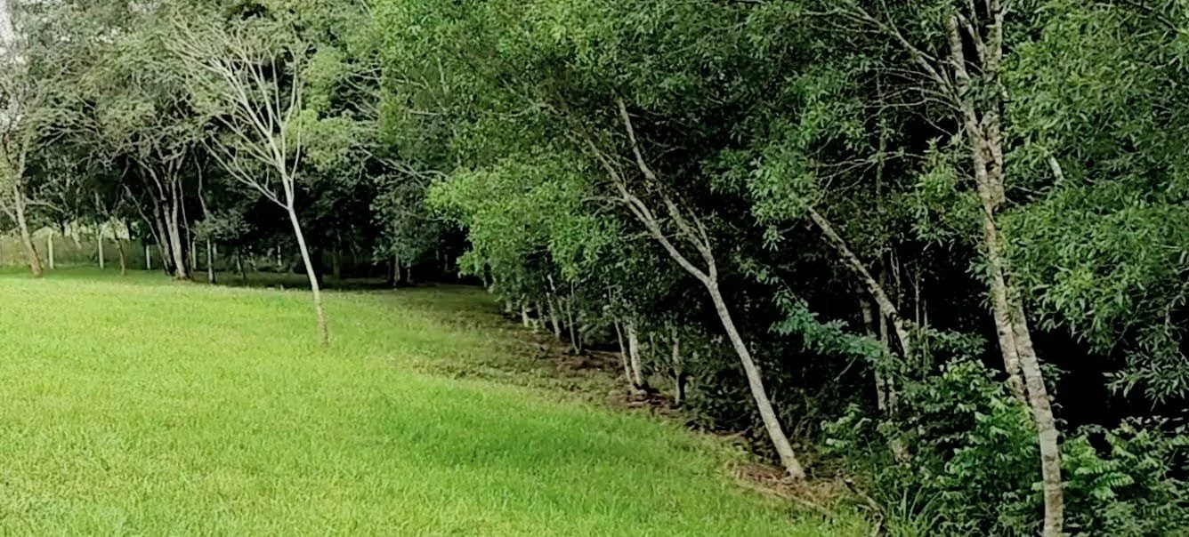Hohenau / Trinidad: terreno tranquilo de 3.200 m² - imagen 6