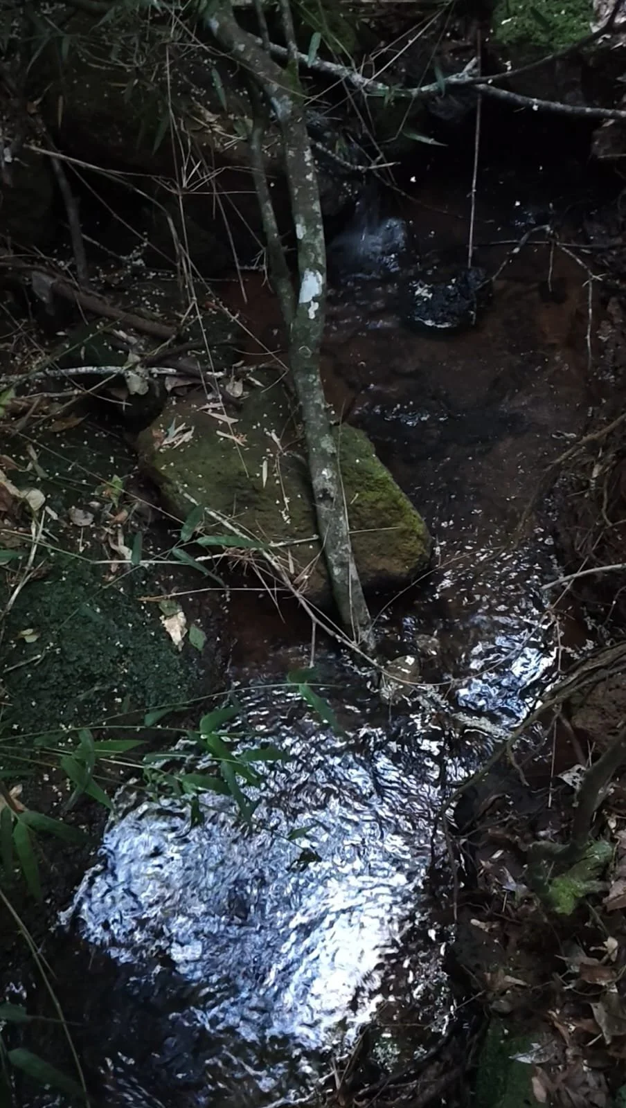 Hohenau / Trinidad: terreno tranquilo de 3.200 m² - imagen 7
