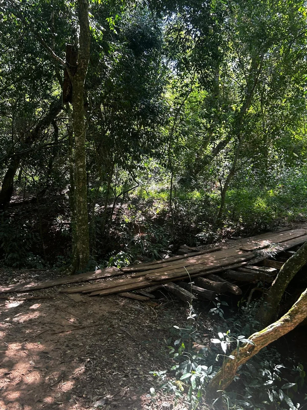 Trinidad: 1,5 ha – terreno idílico - imagen 3