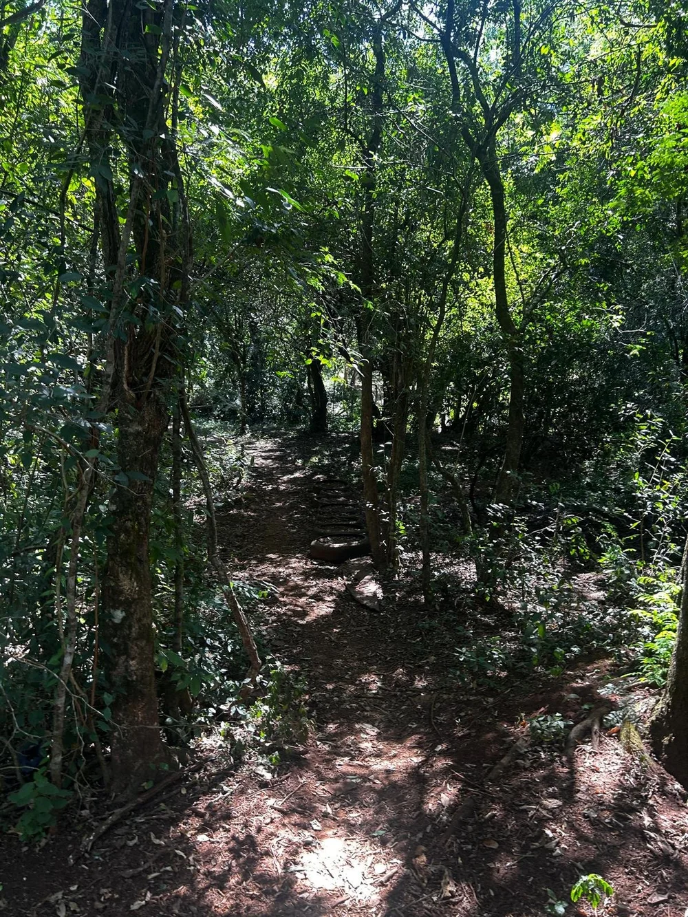 Trinidad: 1,5 ha – terreno idílico - imagen 8