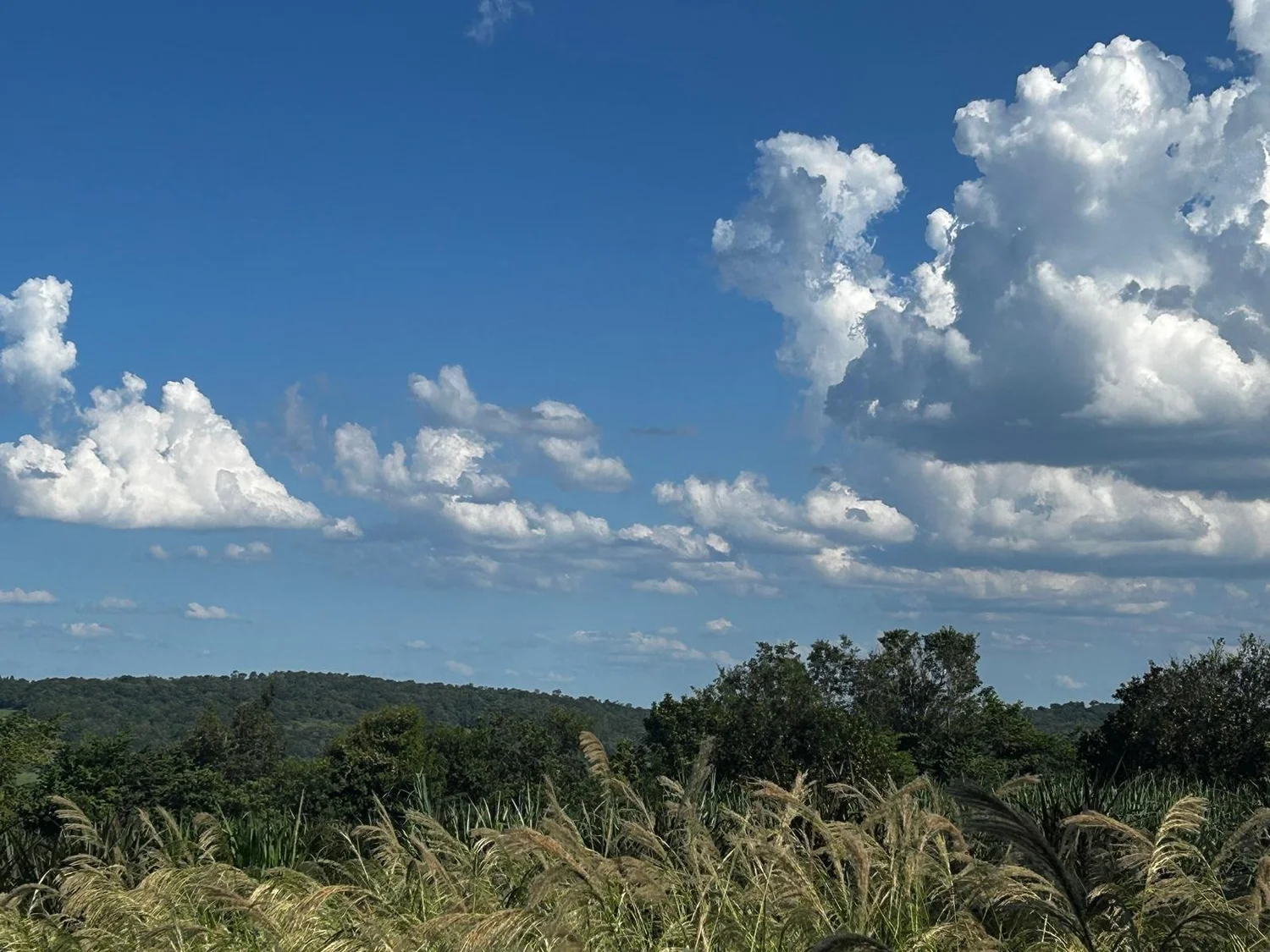 Trinidad: 4 ha – hermoso terreno en Barrio Santa María - 3