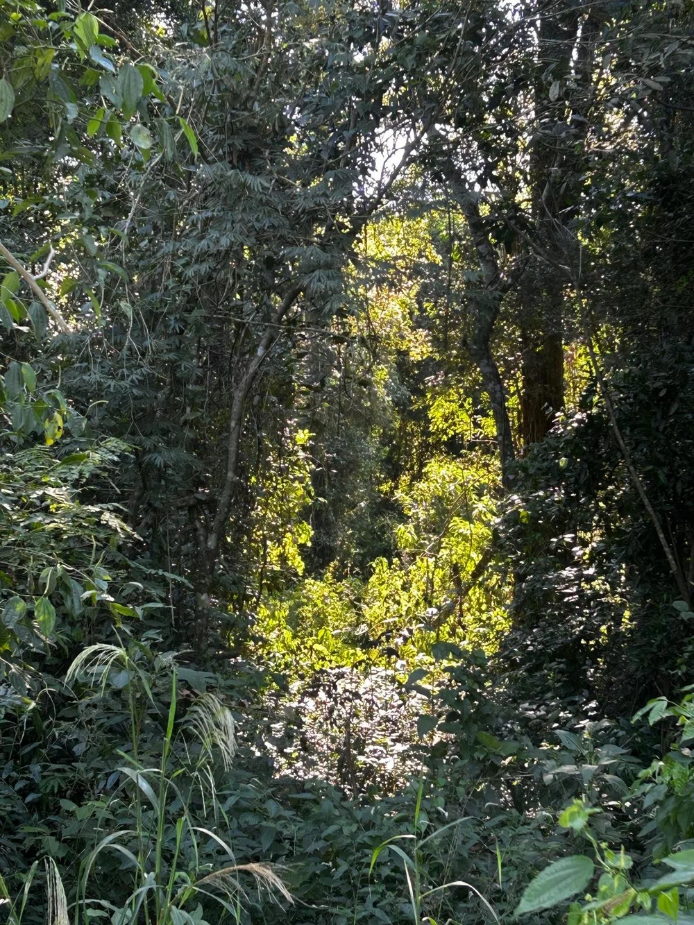 Trinidad: 4 ha – hermoso terreno en Barrio Santa María - 4
