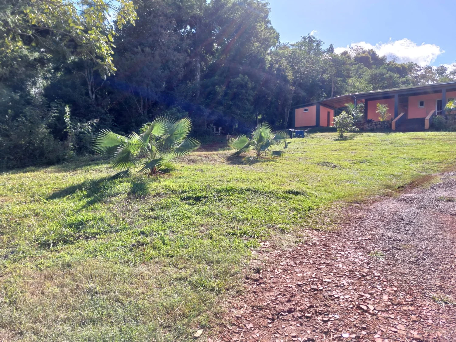 Hohenau: 17.000 m² – encantadora y sólida vivienda - 2