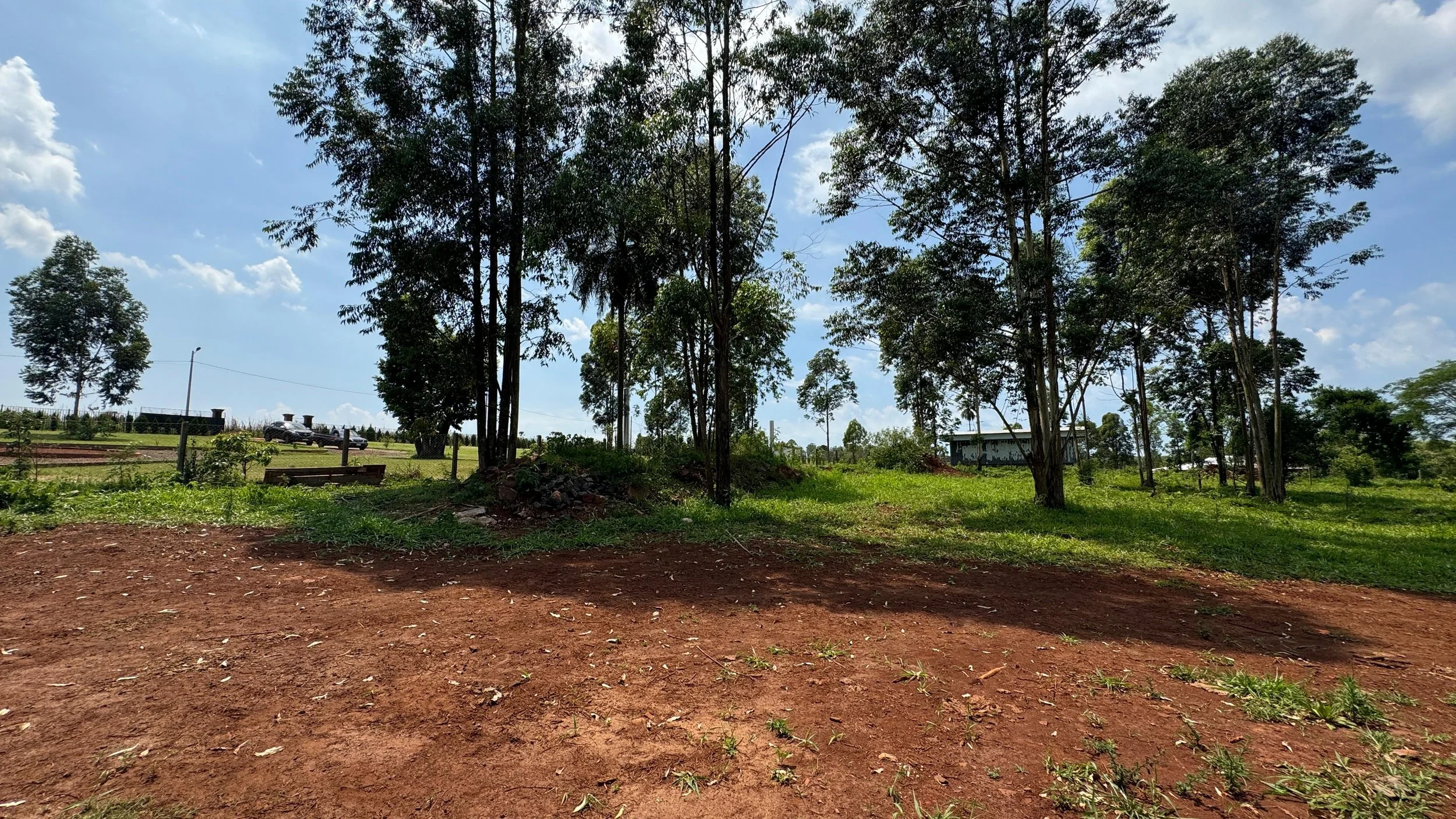 Hohenau: 35.000 m² – propiedad junto al río Capibary con casa pequeña - imagen 2