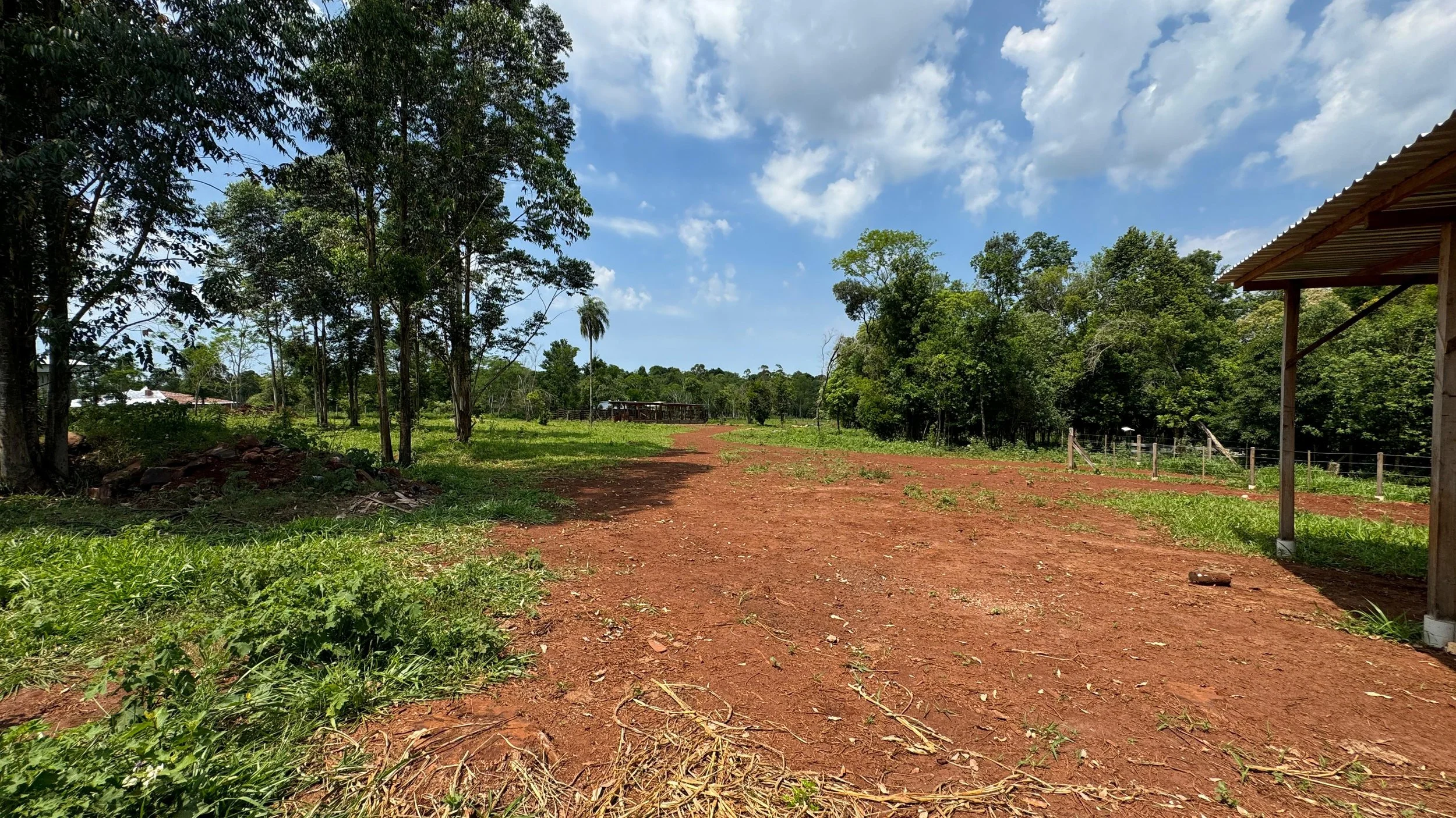 Hohenau: 35.000 m² – propiedad junto al río Capibary con casa pequeña - imagen 3