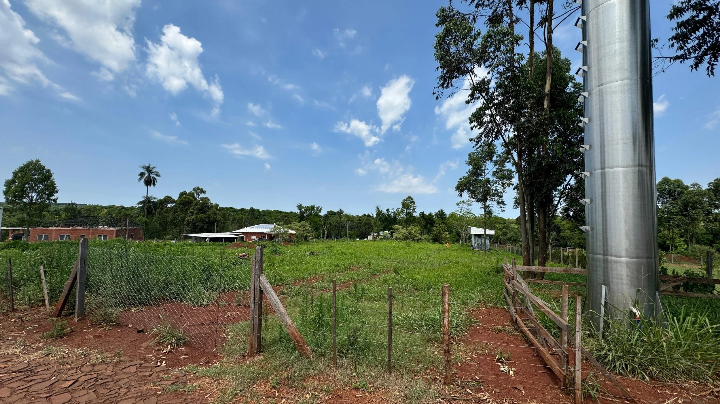 Hohenau: 35.000 m² – propiedad junto al río Capibary con casa pequeña - imagen 4