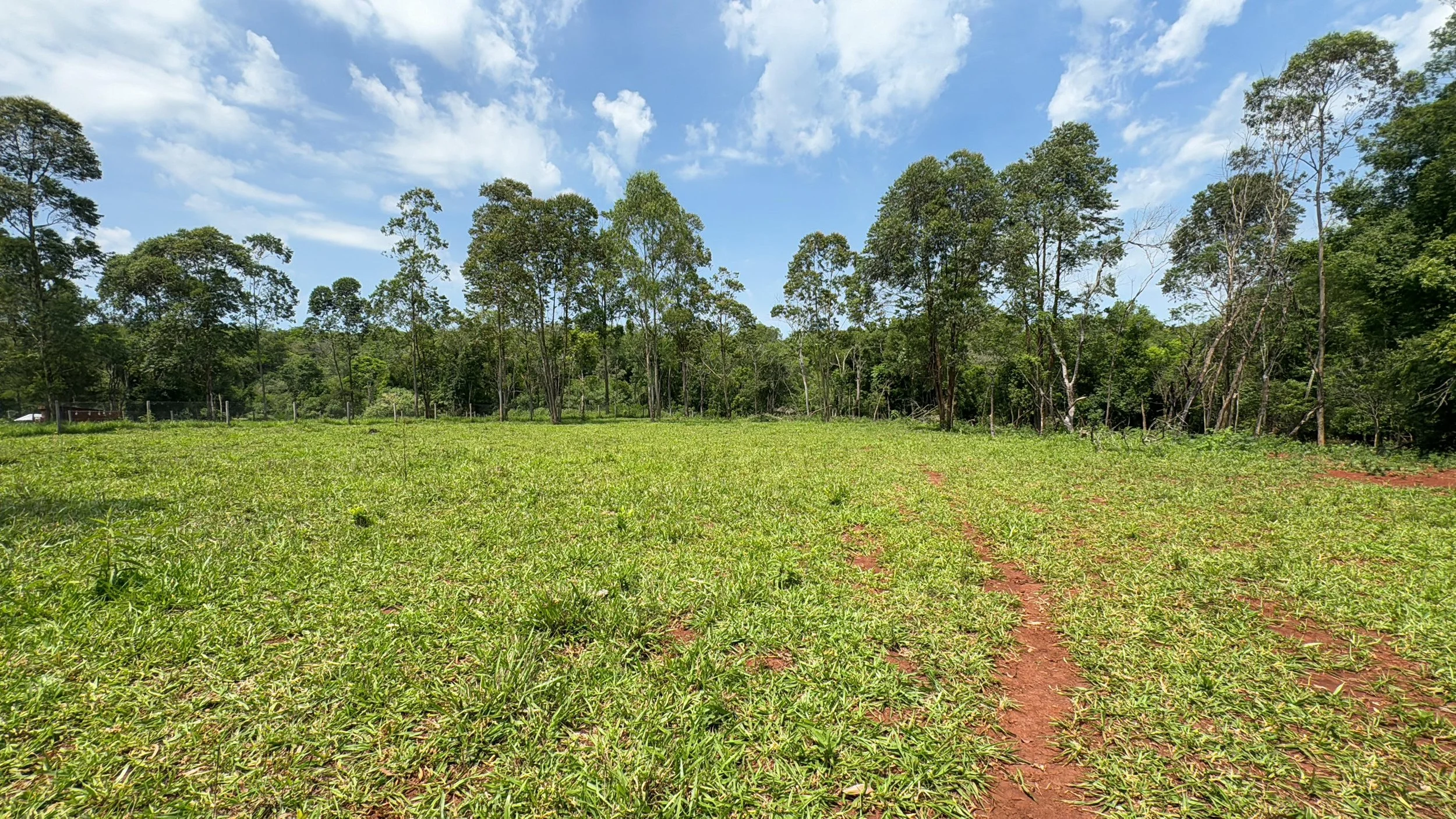 Hohenau: 35.000 m² – propiedad junto al río Capibary con casa pequeña - imagen 5