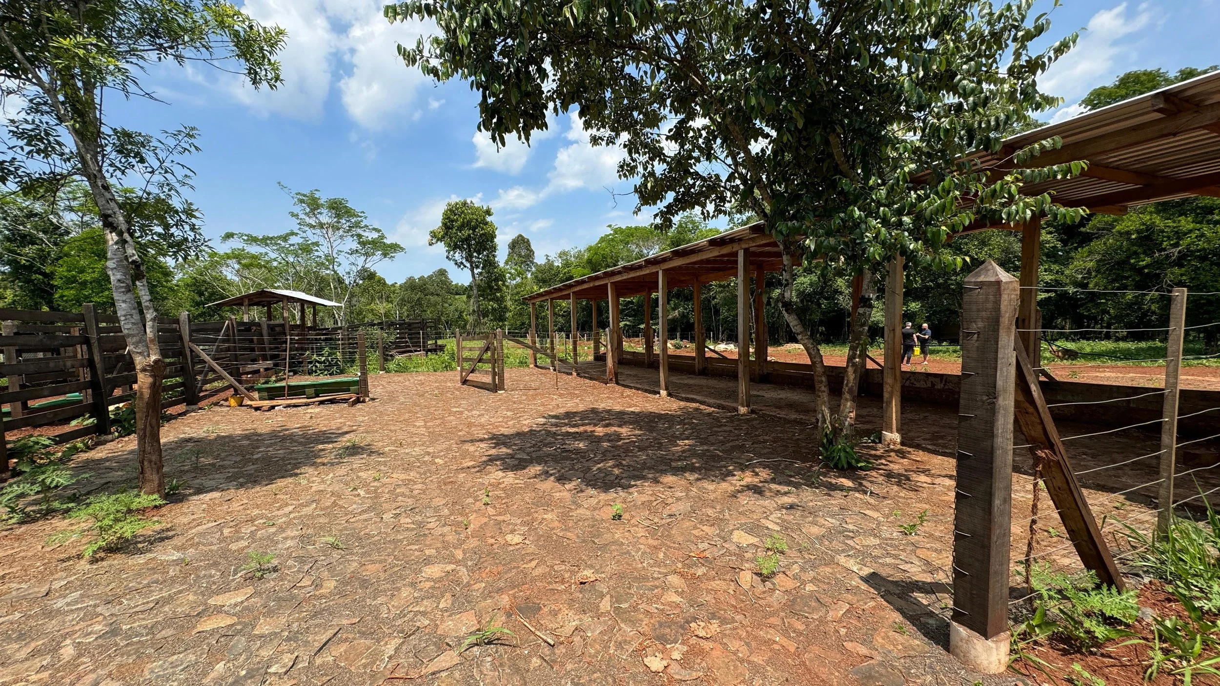 Hohenau: 35.000 m² – propiedad junto al río Capibary con casa pequeña - imagen 6