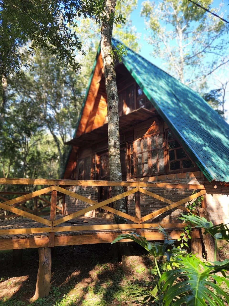 Trinidad: 1 ha – terreno natural único con vivienda en San Miguel, cerca de Hohenau - 2