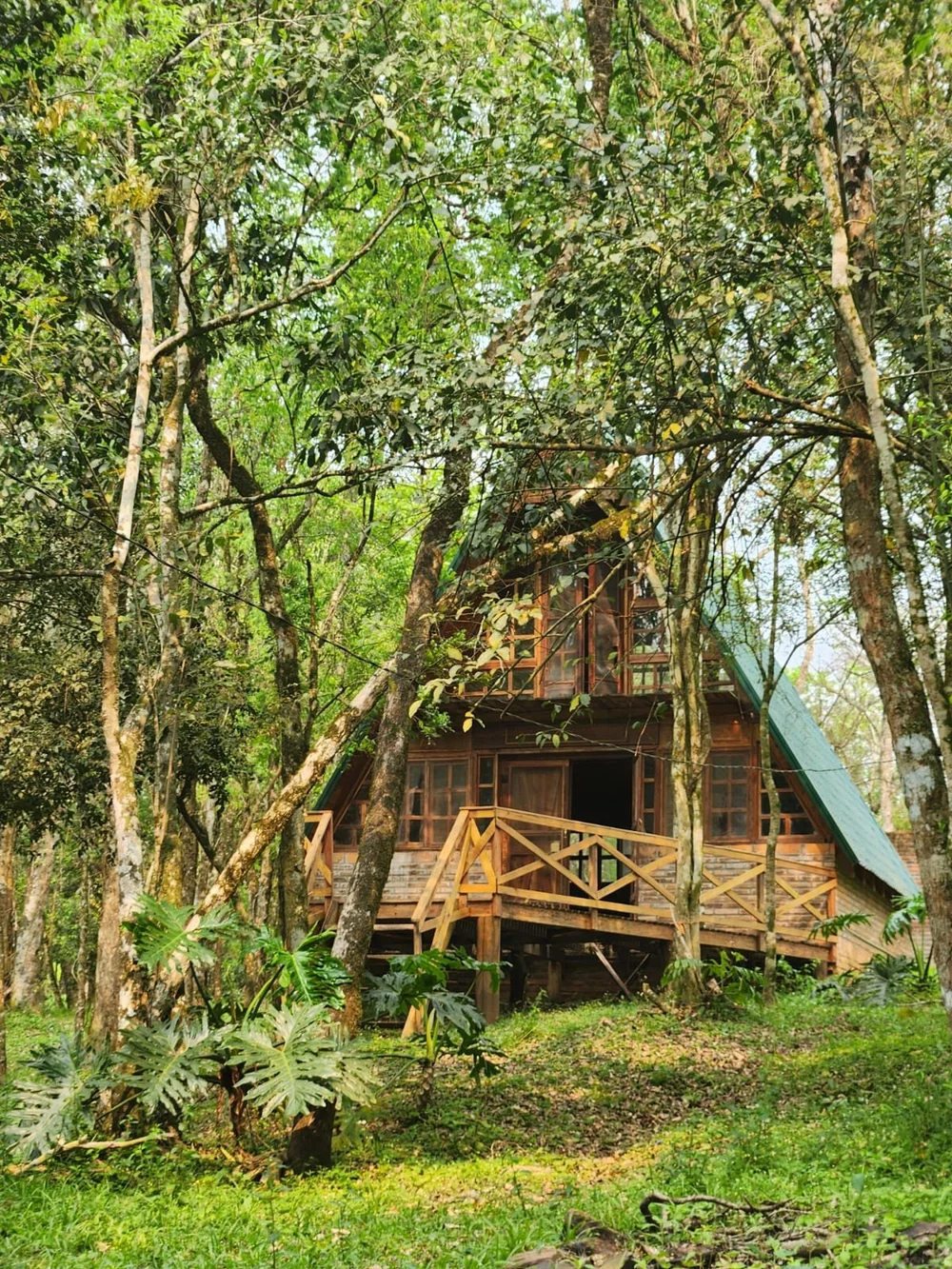 Trinidad: 1 ha – terreno natural único con vivienda en San Miguel, cerca de Hohenau - 3