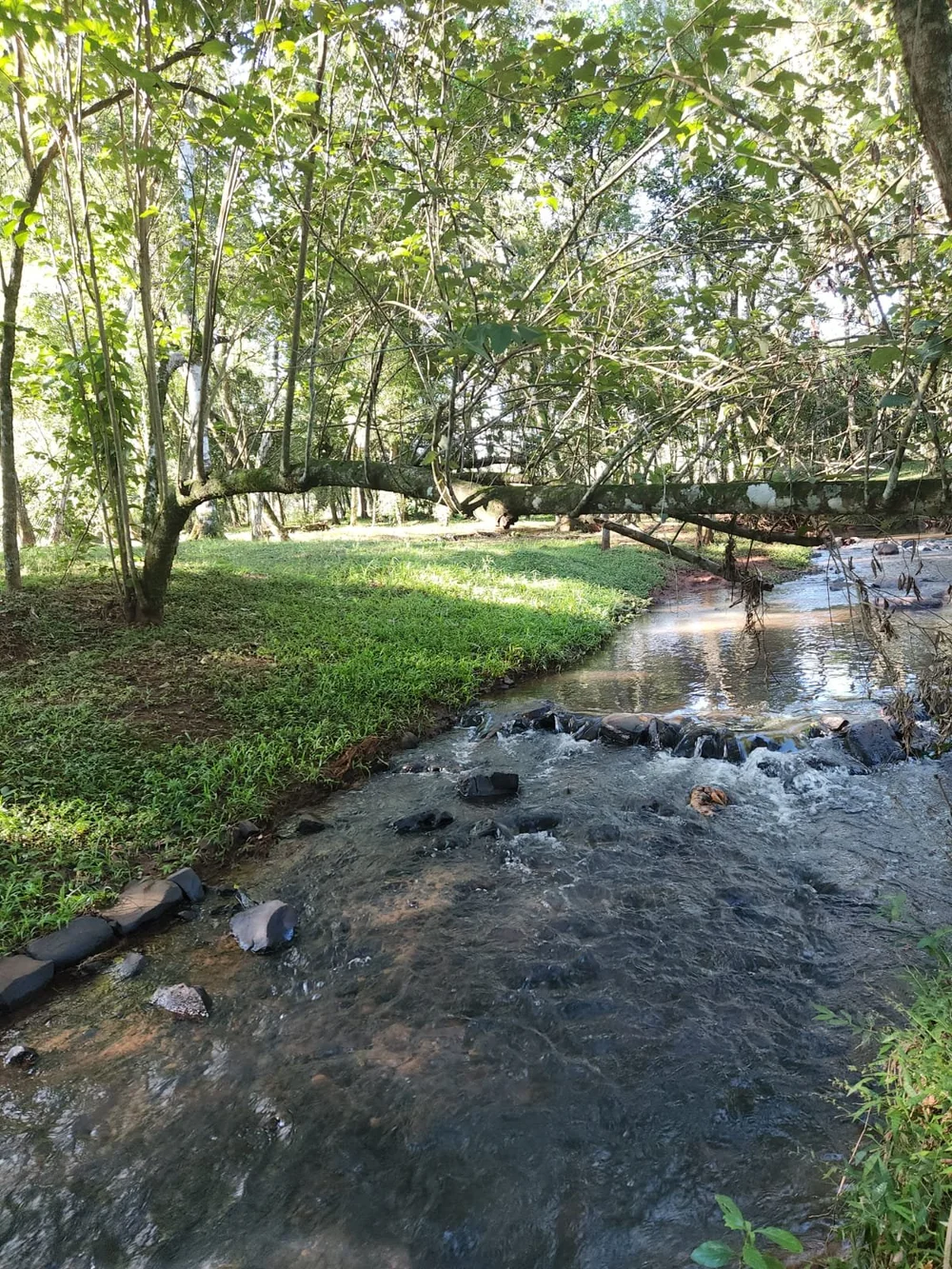 Trinidad: 1 ha – terreno natural único con vivienda en San Miguel, cerca de Hohenau - 6