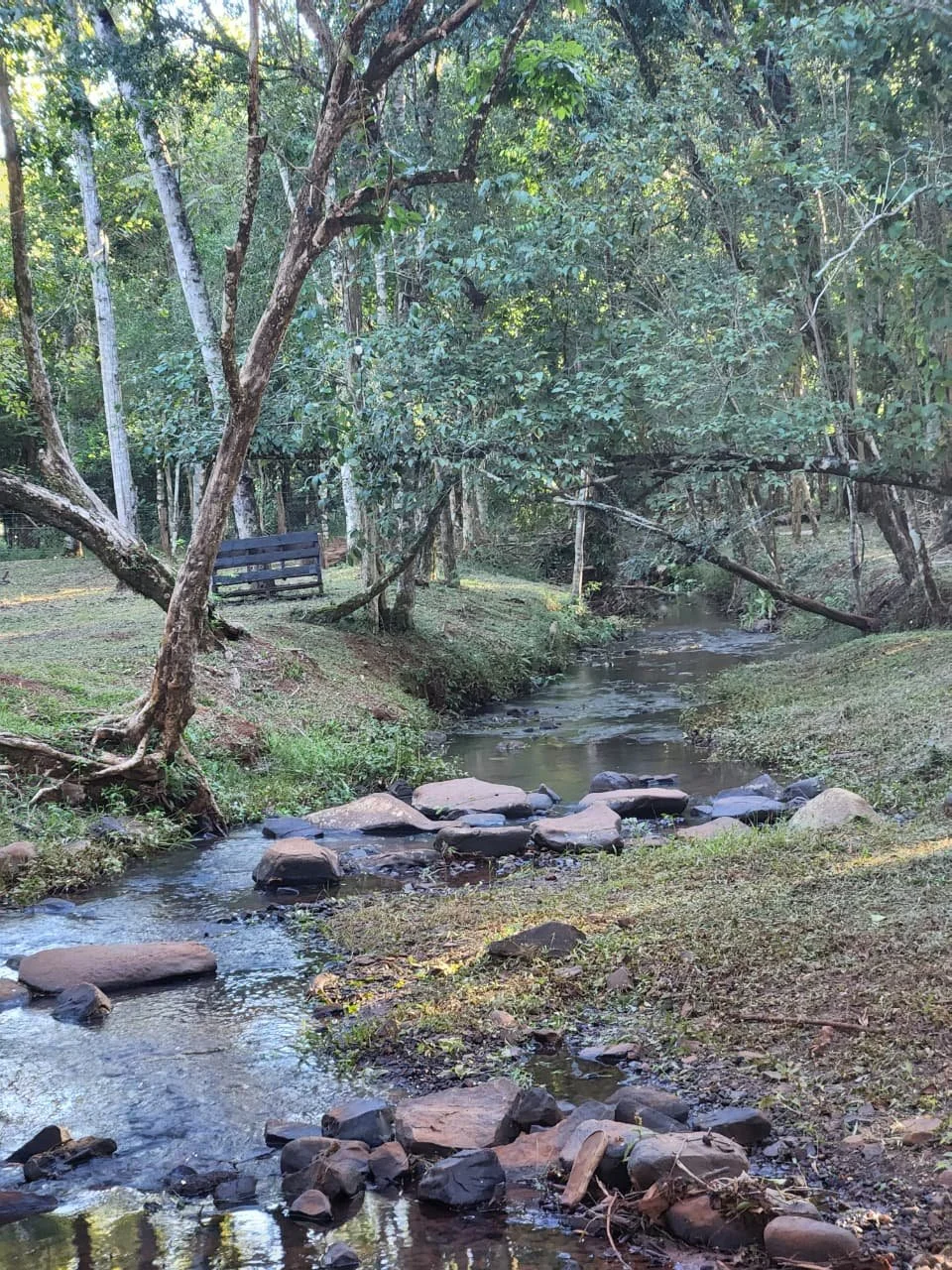 Trinidad: 1 ha – terreno natural único con vivienda en San Miguel, cerca de Hohenau - 10