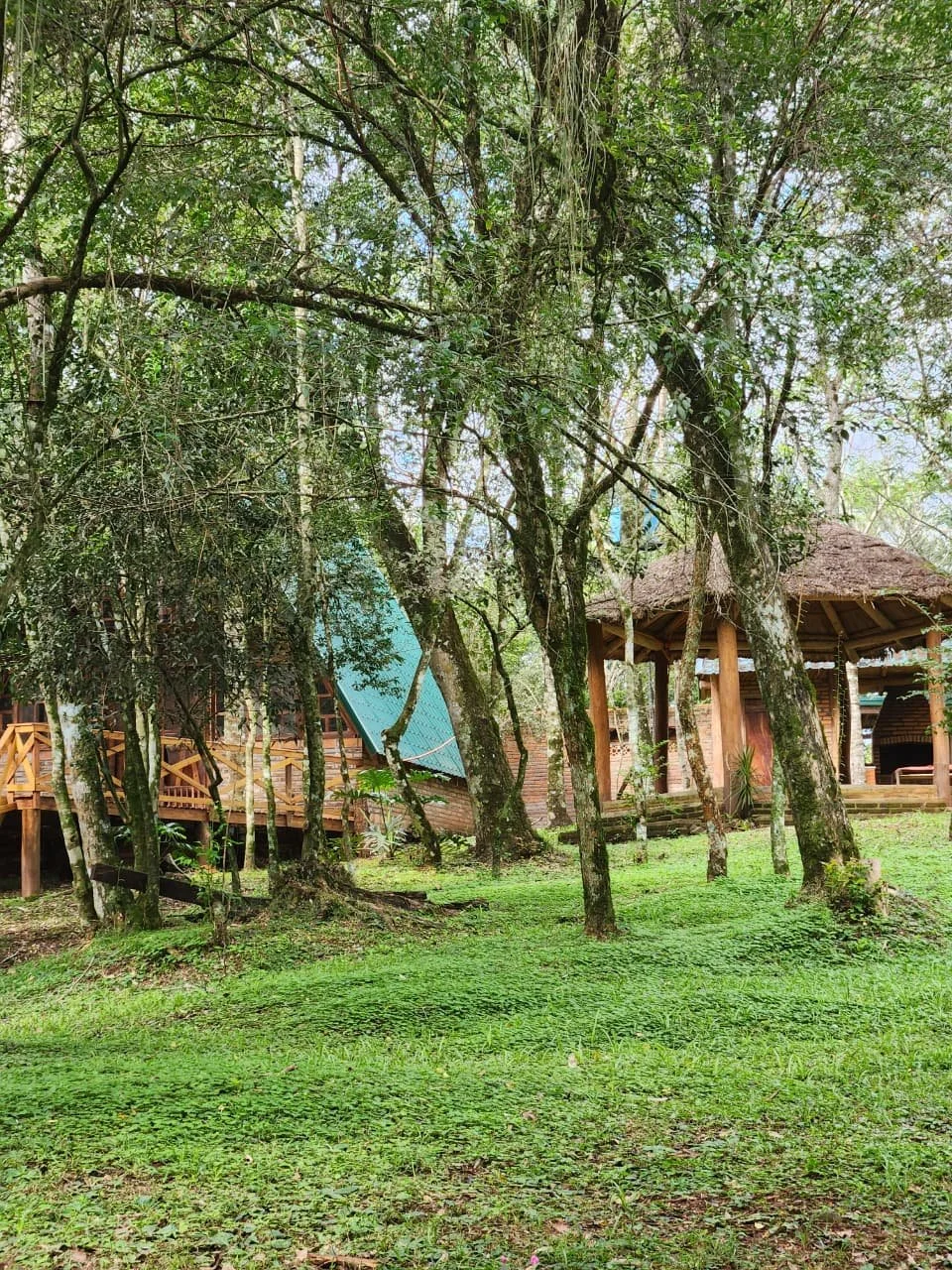 Trinidad: 1 ha – terreno natural único con vivienda en San Miguel, cerca de Hohenau - 12