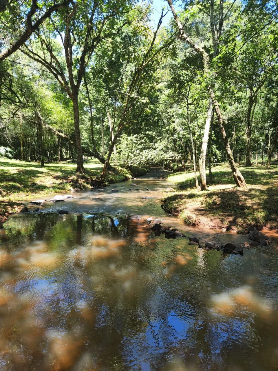 Trinidad: 1 ha – terreno natural único con vivienda en San Miguel, cerca de Hohenau - 13
