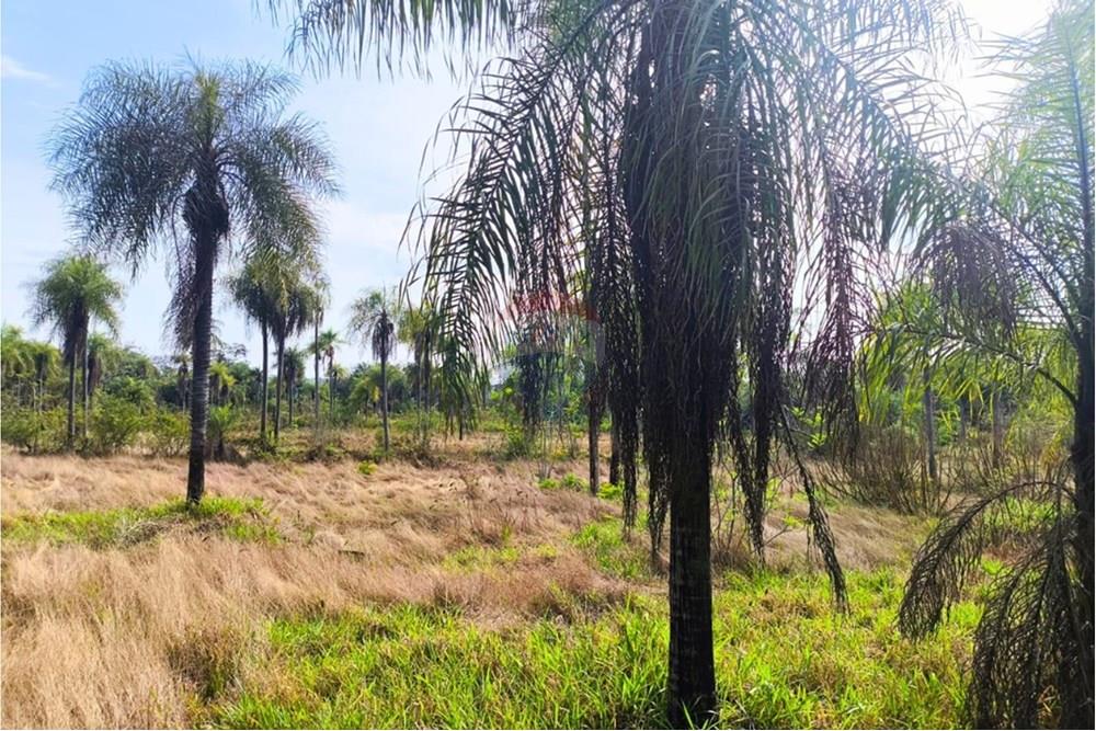 Terreno Dr. Blas Garay, Coronel Oviedo, Caaguazú, Paraguay - 7