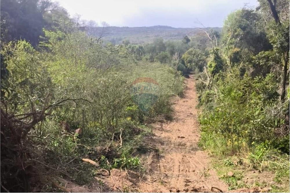 Terreno Dr. Blas Garay, Coronel Oviedo, Caaguazú, Paraguay - 9