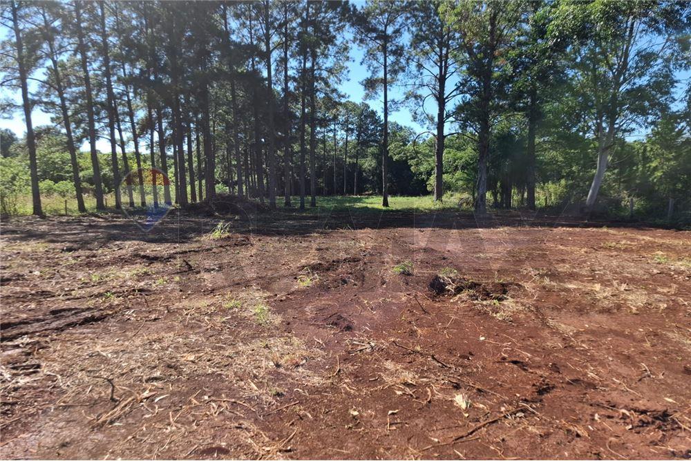 Terreno - Venta - Capitán Miranda, Itapúa, Paraguay - 6
