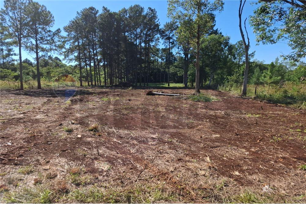 Terreno - Venta - Capitán Miranda, Itapúa, Paraguay - 8