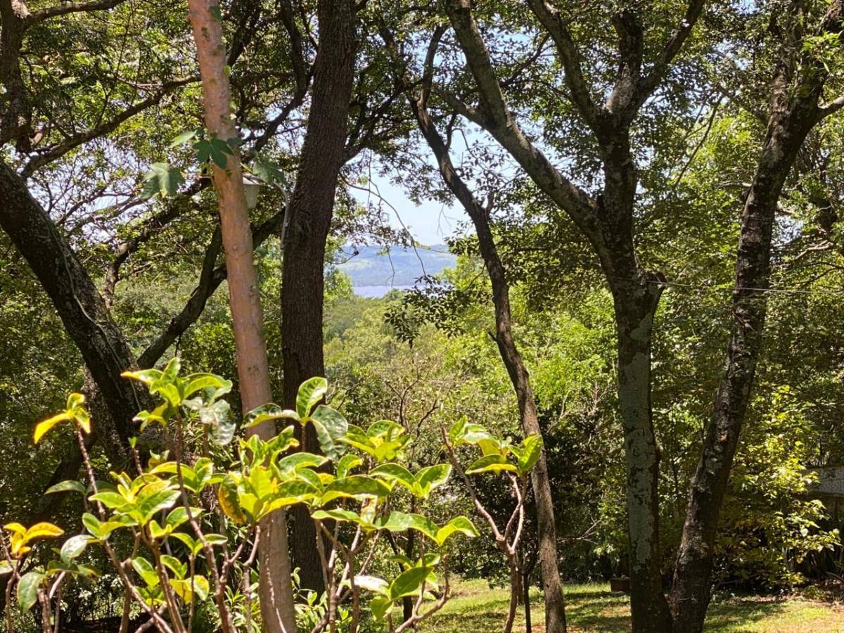 House for sale in Cerro Aregua - Estanzuela, Aregua Patiño Route - 5