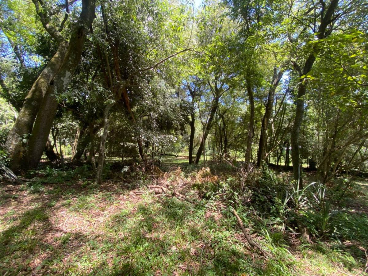 House for sale in Cerro Aregua - Estanzuela, Aregua Patiño Route - 6