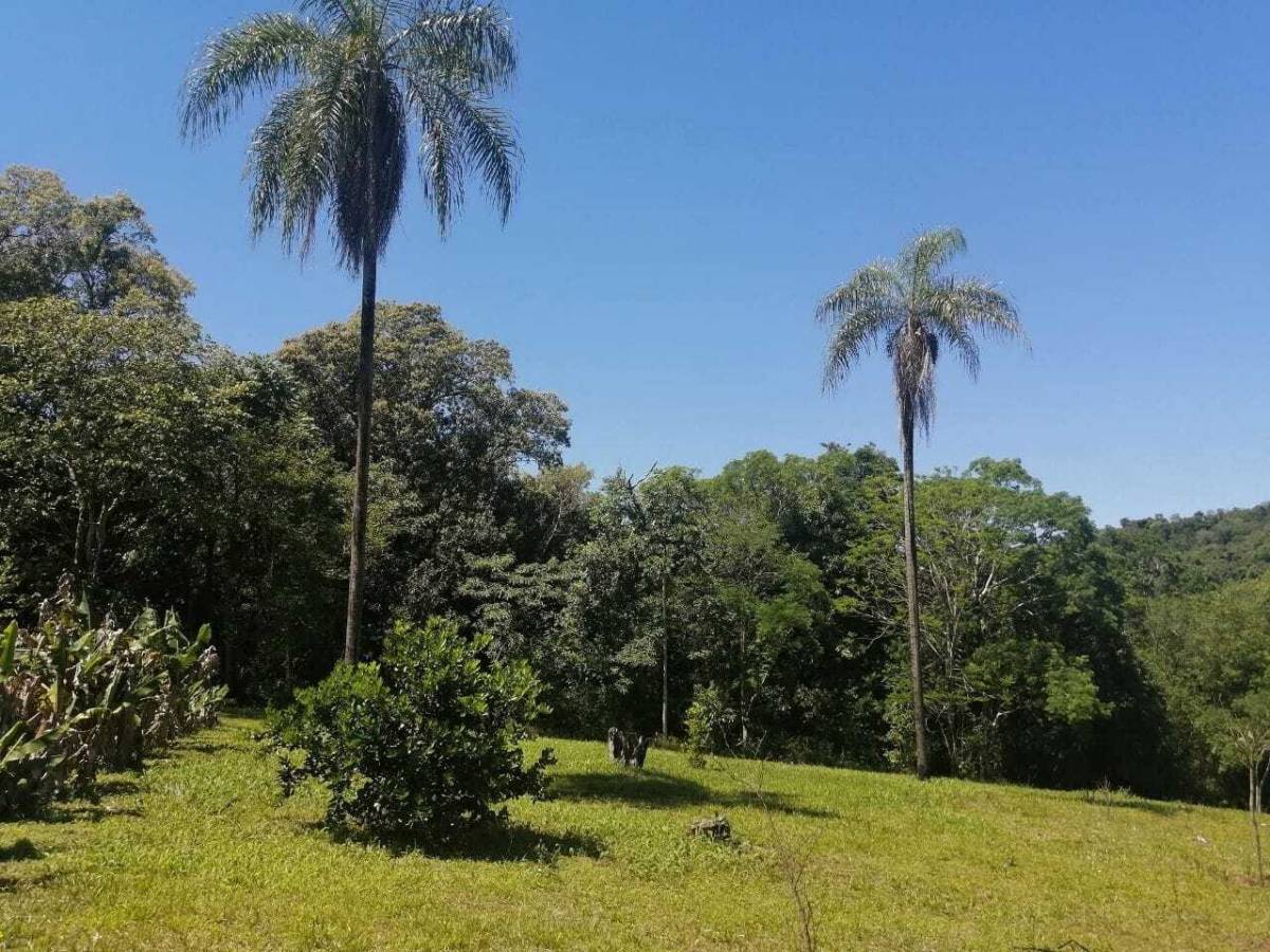 BEAUTIFUL AND EXCLUSIVE PROPERTY WITH 2 COUNTRY HOUSES / POOL AND 9 HAS OF LAND - imagen 6