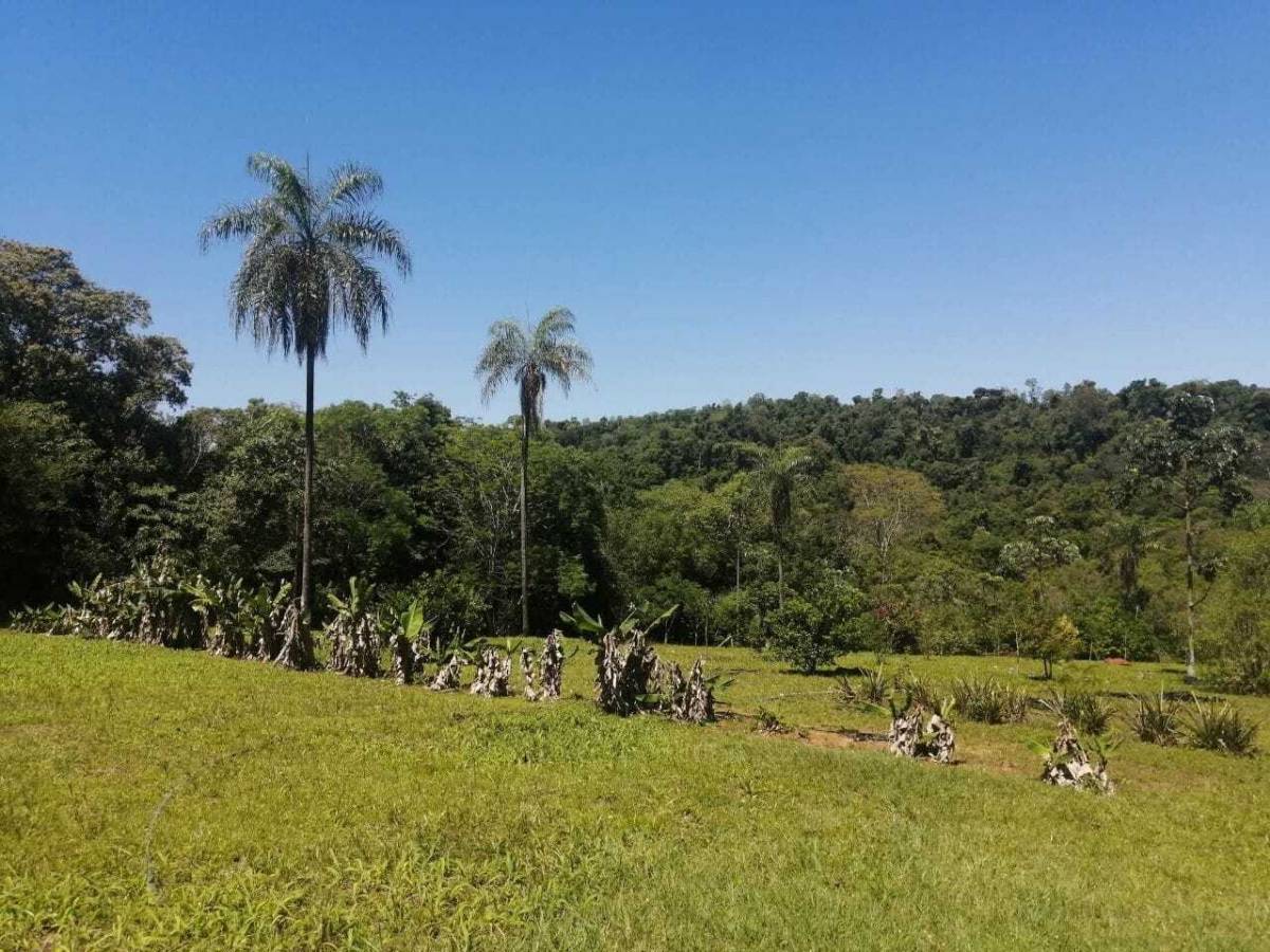 BEAUTIFUL AND EXCLUSIVE PROPERTY WITH 2 COUNTRY HOUSES / POOL AND 9 HAS OF LAND - imagen 7