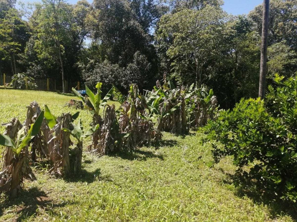 BEAUTIFUL AND EXCLUSIVE PROPERTY WITH 2 COUNTRY HOUSES / POOL AND 9 HAS OF LAND - imagen 8