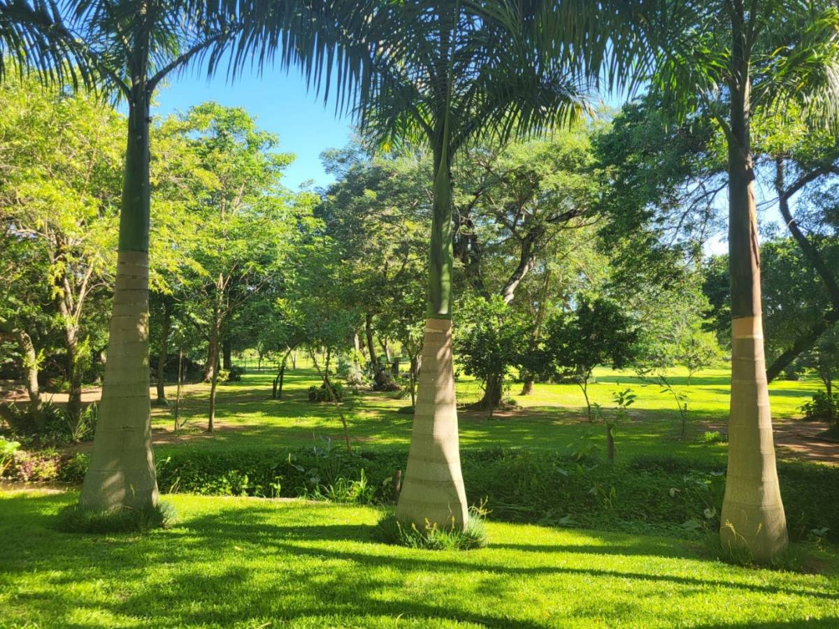 Farm House for Sale in Luque, Central - imagen 9