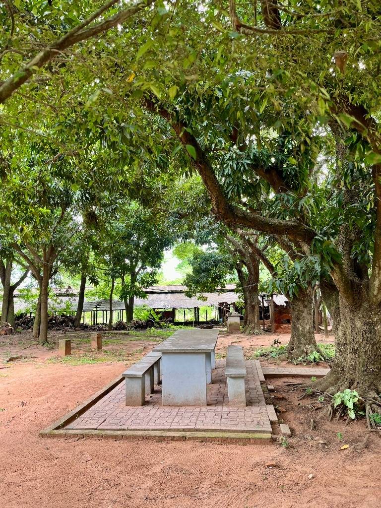 Farm House for Sale in Capiatá, Central - imagen 8