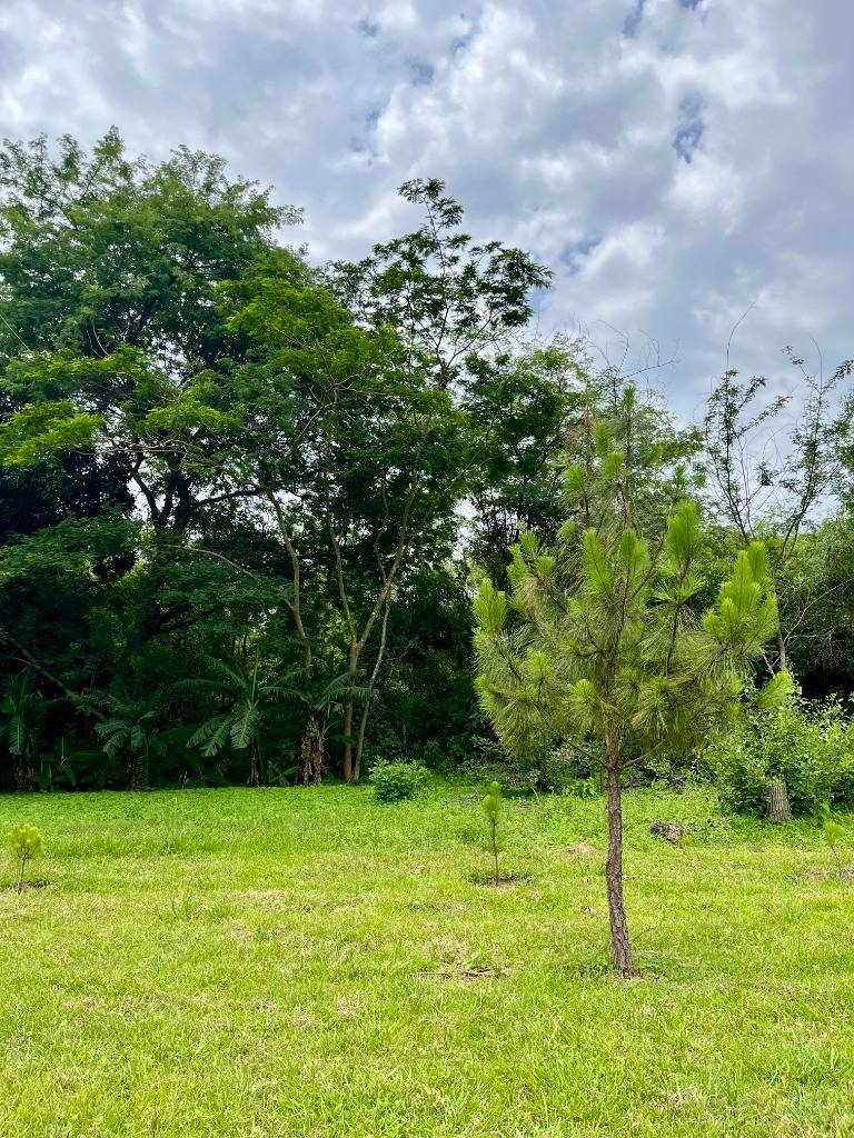 Farm House for Sale in Capiatá, Central - imagen 11
