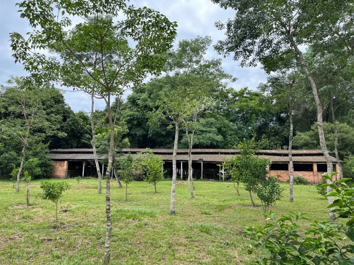 Farm House for Sale in Capiatá, Central - imagen 13