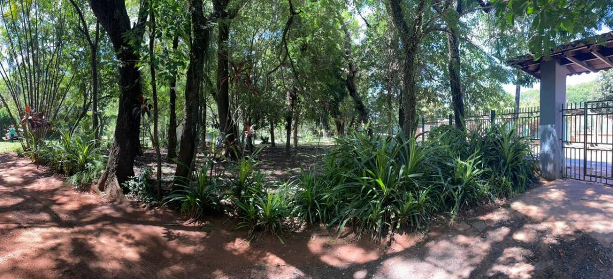 Farm House for Sale in Capiatá, Central - imagen 18