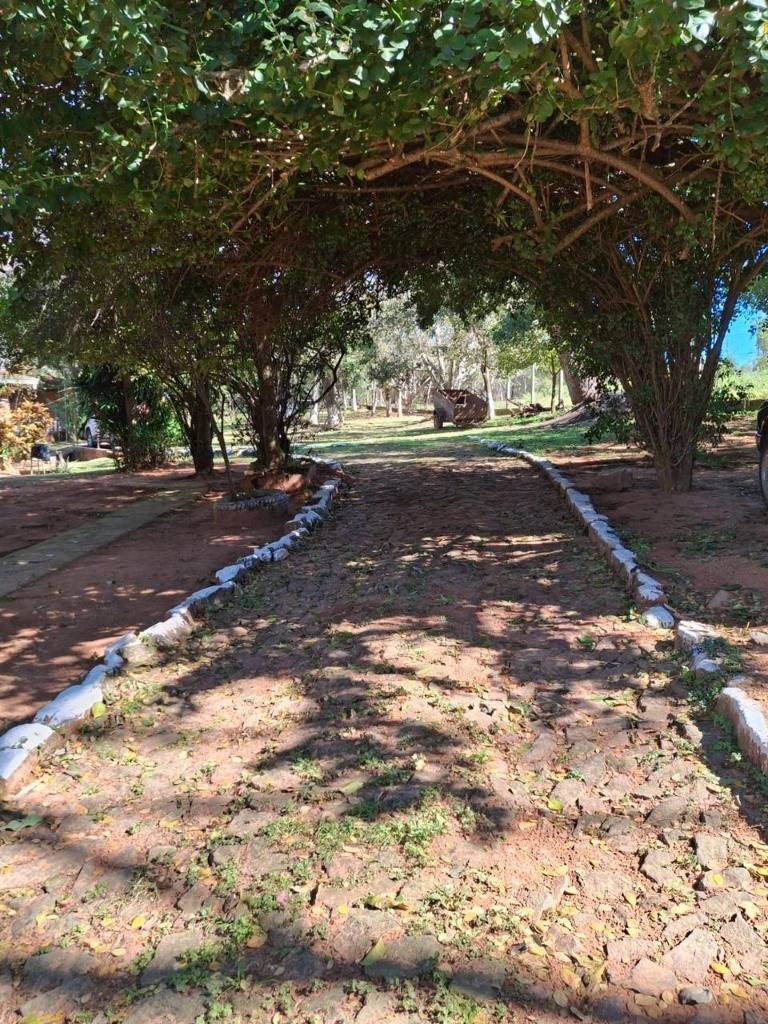 Farm House for Sale in Pirebebuy, Cordillera - imagen 6