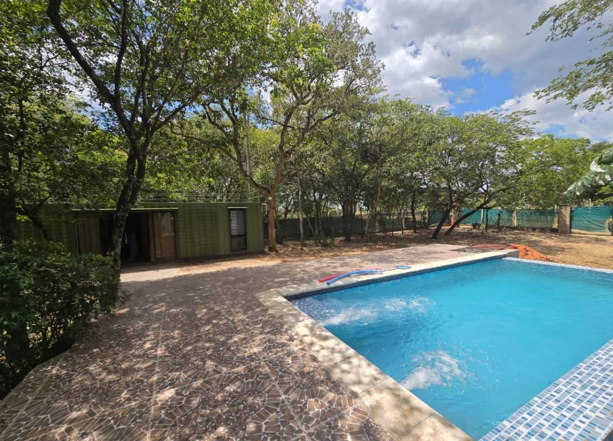 PROPERTY FOR SALE WITH PREMIUM CONTAINER AND POOL - 3