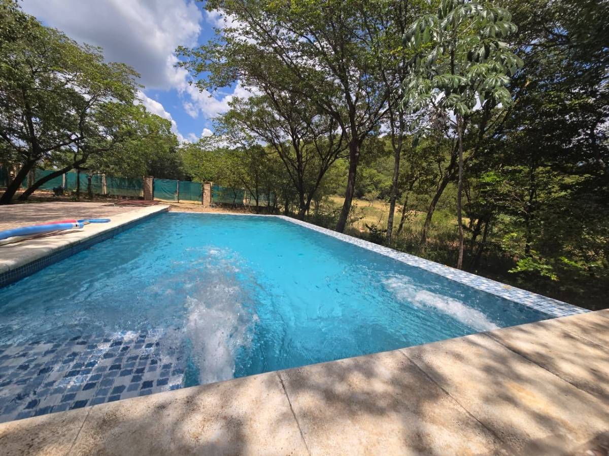 PROPERTY FOR SALE WITH PREMIUM CONTAINER AND POOL - 5