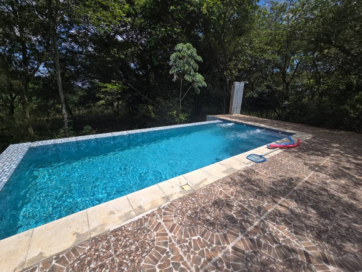 PROPERTY FOR SALE WITH PREMIUM CONTAINER AND POOL - 6