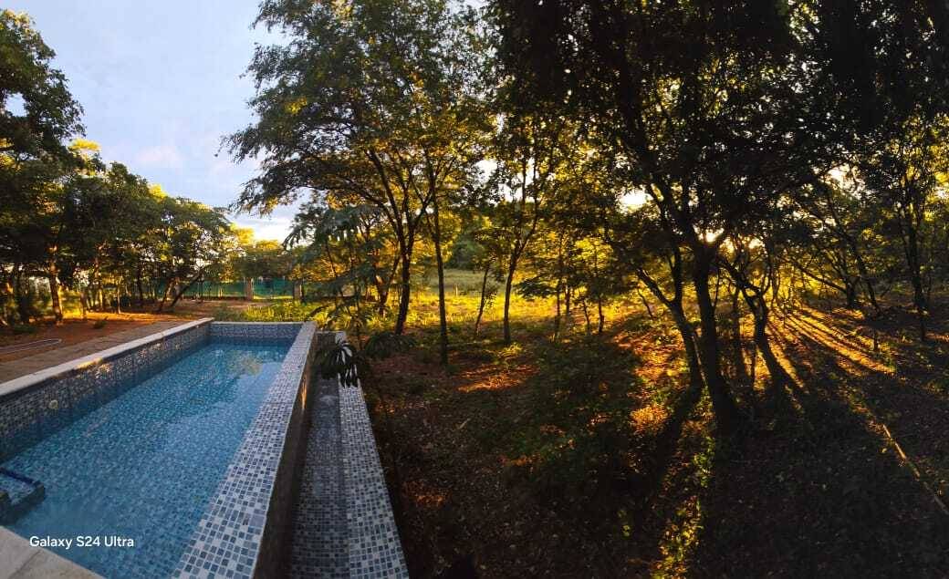 PROPERTY FOR SALE WITH PREMIUM CONTAINER AND POOL - 7