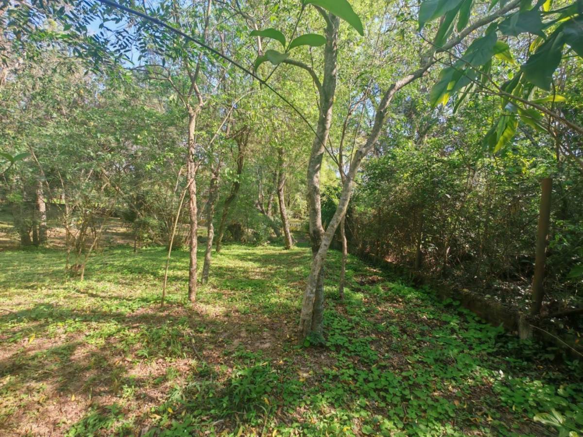 FOR SALE: 4 ADJACENT CORNER LOTS IN AREGUÁ - 6