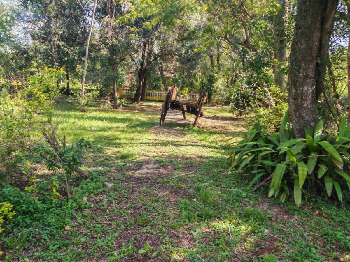 FOR SALE: 4 ADJACENT CORNER LOTS IN AREGUÁ - 7