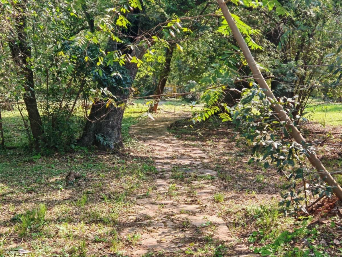 FOR SALE: 4 ADJACENT CORNER LOTS IN AREGUÁ - 15
