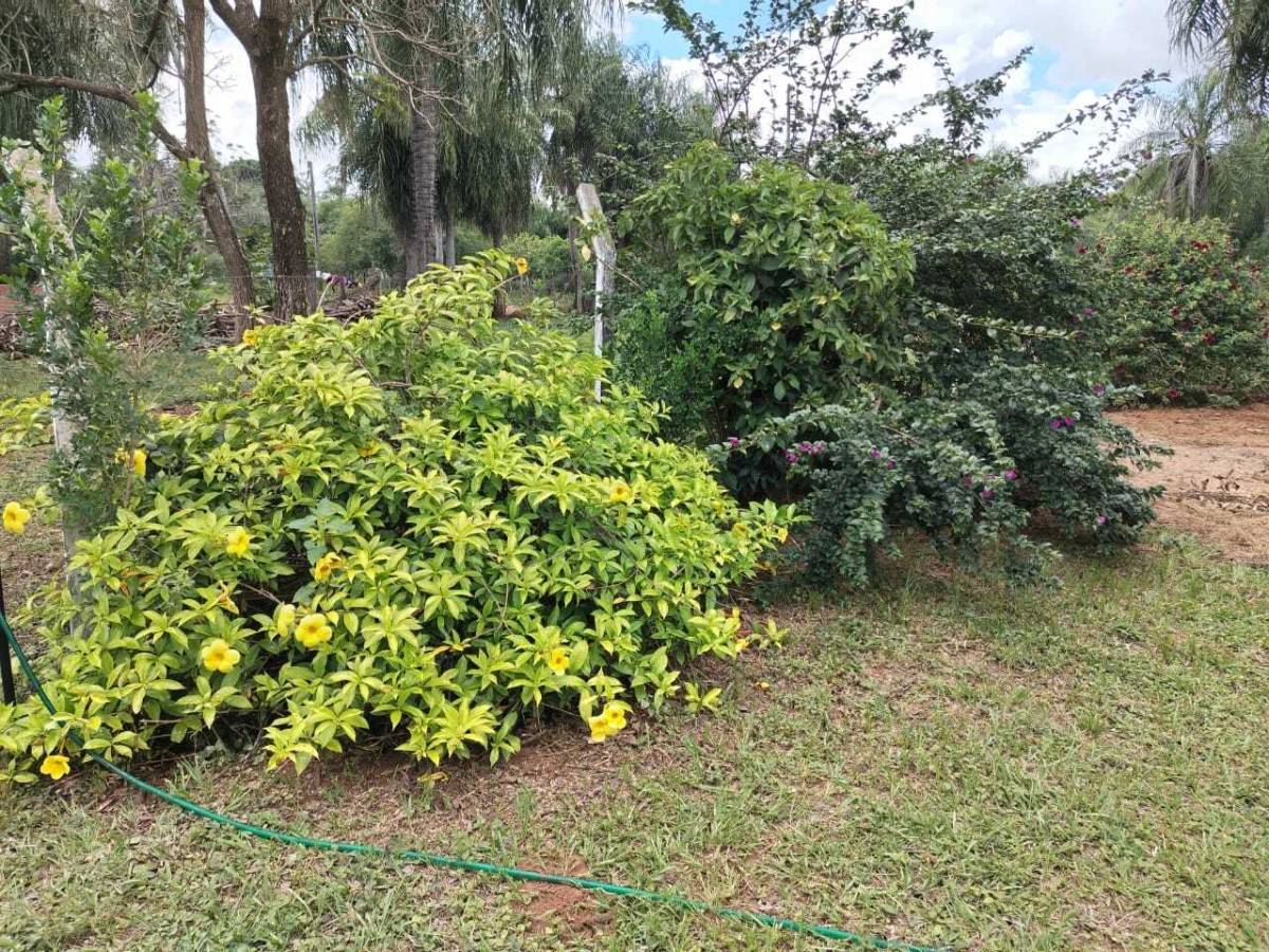 VENDO HERMOSA QUINTA CON PISCINA EN ITAUGUÁ - B° POTRERITO - 12